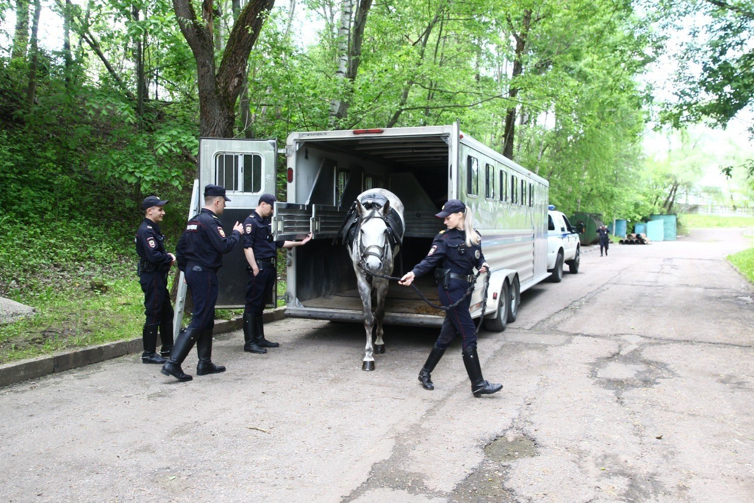 За Калужской заставой - Грациозная сила. Конная полиция выходит в рейд по  Битцевскому лесу