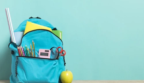 В Черемушках злоумышленник  на детской площадке похитил школьный рюкзак