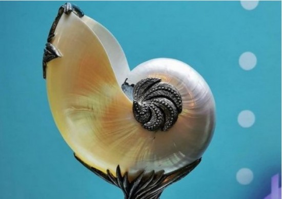 Дарвиновский музей показал древнего моллюска наутилуса