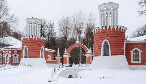 Необычную зимнюю фотосессию можно устроить в Воронцовском парке