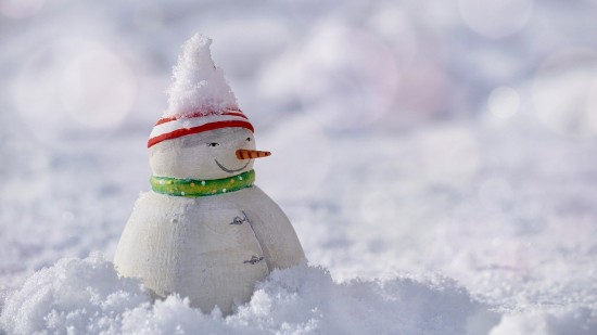В школе №1536 педагоги и ученики рассказали, каким должен быть Снеговик