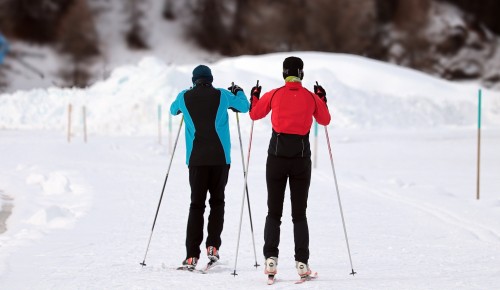 В школе №1536 рассказали, где найти лыжню для отдыха всей семьей