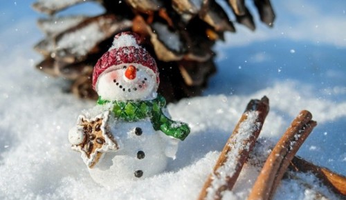 Библиотека Обручевского района опубликовала подборку книг к Всемирному дню снеговика
