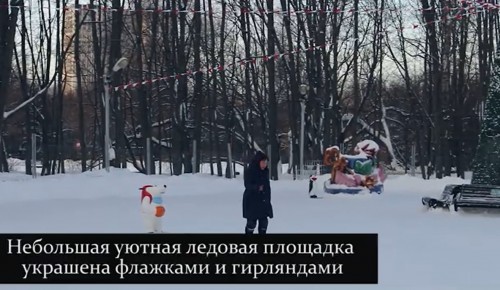 Каток "Усадебный" с натуральным льдом открыт в Воронцовском парке