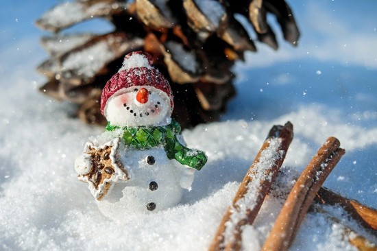 Библиотека Обручевского района опубликовала подборку книг к Всемирному дню снеговика