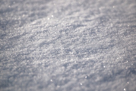 Сотрудники Мосприроды рассказали о правилах безопасности при снегопаде и гололеде
