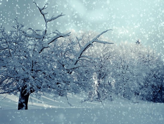 Жителям Южного Бутова рассказали о правилах безопасности при снегопаде и гололеде