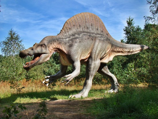 Дарвиновский музей приглашает детей на онлайн-занятие «Кто такие динозавры?»  25 января