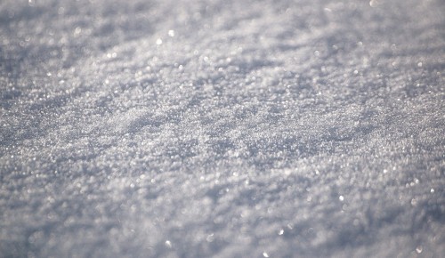 Экоцентр «Лесная сказка» предлагает поучаствовать в викторине «Снежинка»