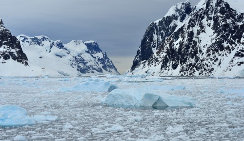 Дирекция «Тропарево» и «Теплый Стан» рассказала об истории открытия Антарктиды
