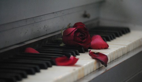 Жителей района Теплый стан 30 января приглашают на видеоконцерт фортепианной музыки