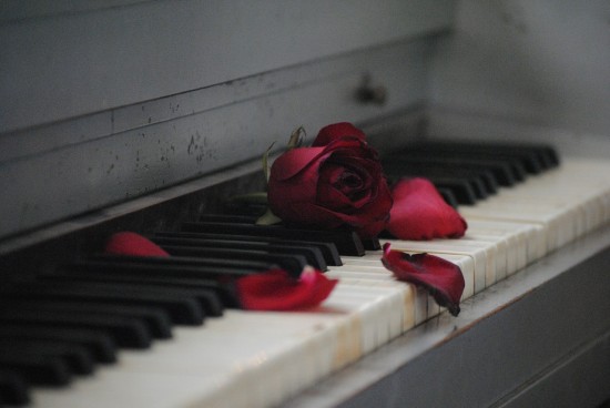 Жителей района Теплый стан 30 января приглашают на видеоконцерт фортепианной музыки