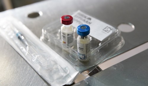 Жители ЮЗАО могут привить питомцев комплексной вакциной со скидкой