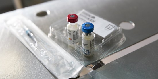 Жители ЮЗАО могут привить питомцев комплексной вакциной со скидкой
