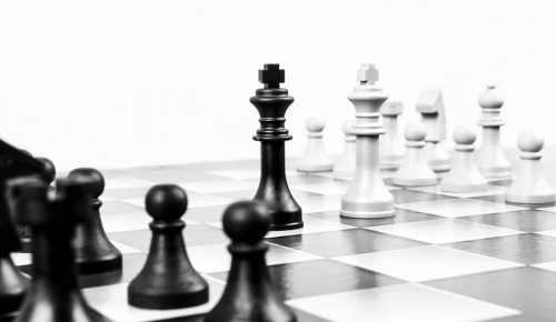 В «Севастопольце» прошел онлайн-турнир по шахматам «64 поля»