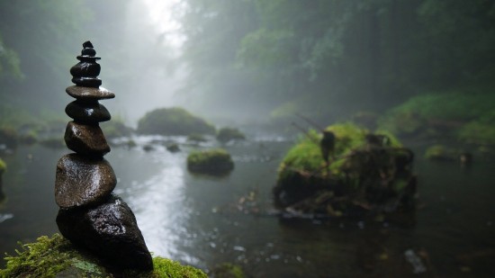 Экоцентр «Битцевский лес» рассказал о Всемирном дне водно-болотных угодий