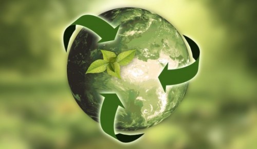 Экологи МГРИ подготовят видеоуроки по проекту «Ноль отходов: шаг за шагом»