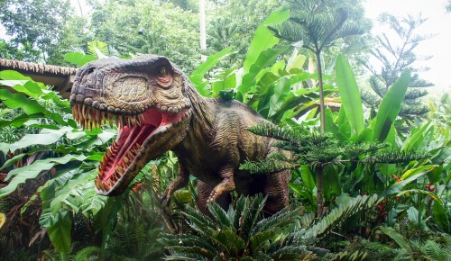 Детей Академического района приглашают на онлайн-урок, посвященный динозаврам 17 февраля