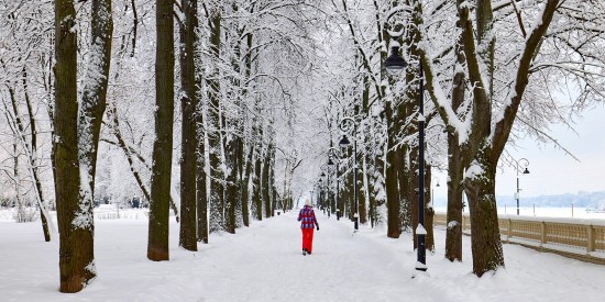 Зима в Москве стала самой снежной за последние четыре года
