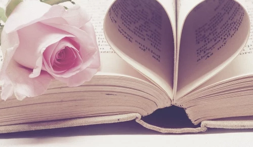 Библиотеки ЮЗАО опубликовали список книг ко Дню святого Валентина