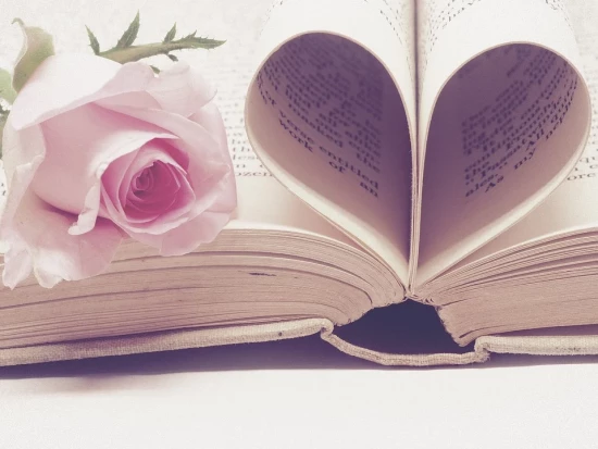 Библиотеки ЮЗАО опубликовали список книг ко Дню святого Валентина