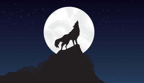 Экоцентр «Лесная сказка» рассказал, как можно сделать волка из шерсти