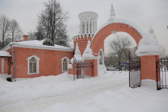 Воронцовский парк запустит цикл онлайн-лекций к юбилею Чуковского