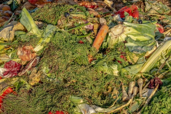 Экоцентр «Битцевский лес» рассказал о превращении пищевых отходов в биогаз