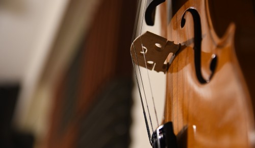 Библиотека №179 приглашает на концерт «Шедевры виолончельной музыки» 13 марта