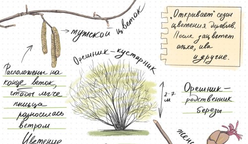 Жителям района Теплый Стан рассказали о мартовском этапе конкурса  «Дневник натуралиста»