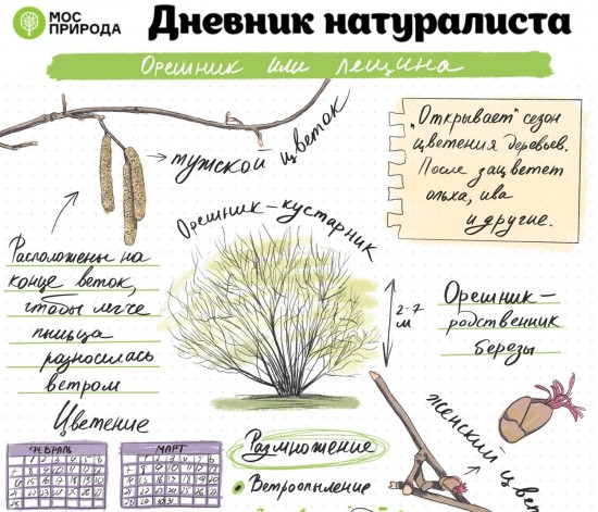 Жителям района Теплый Стан рассказали о мартовском этапе конкурса  «Дневник натуралиста»