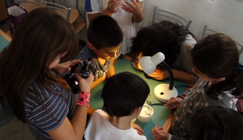 Дарвиновский музей приглашает детей на онлайн-урок «Растения под микроскопом» 31 марта