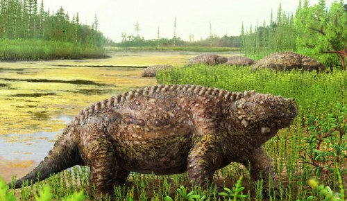 В Дарвиновском музее 29 марта открывается выставка «Парейазавры Вятки»