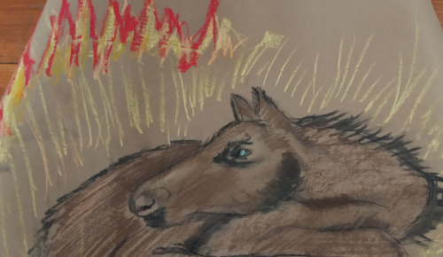 В экоцентре «Битцевский лес» 23 марта состоится интерактивное занятие «Пожары»
