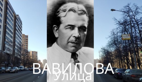 Глава управы Ломоносовского района напомнила о 131-летии со дня рождения физика Вавилова