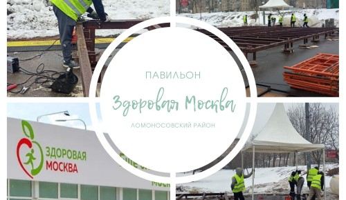 С 1 мая павильон «Здоровая Москва» начнет свою работу в парке «Надежда»