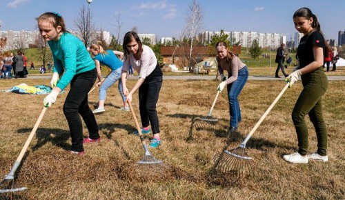 Депутат МГД Козлов пригласил москвичей принять участие в субботнике 16 апреля