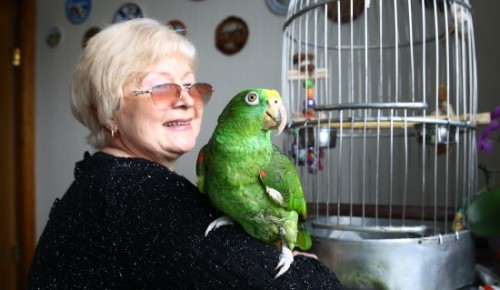 «Пендя хорроший». Как попугай из Колумбии наполняет позитивом квартиру в Конькове