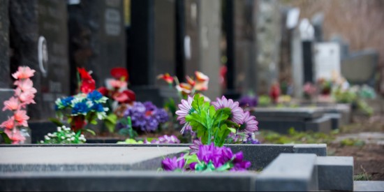 Маршруты автобусов в ЮЗАО изменятся в дни посещения кладбищ