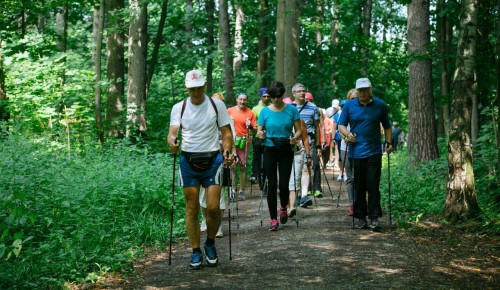 Открытые занятия по скандинавской ходьбе пройдут в экоцентре «Лесная сказка» в мае