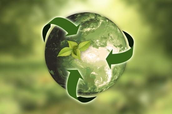 Экологическая акция «Природа и Мы» пройдет 16 мая в ландшафтном заказнике «Теплый Стан»