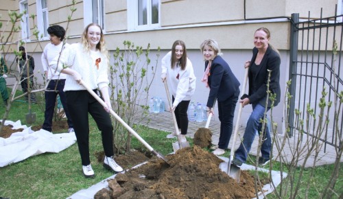 Академия Андрияки приняла участие в Международной акции «Сад памяти»