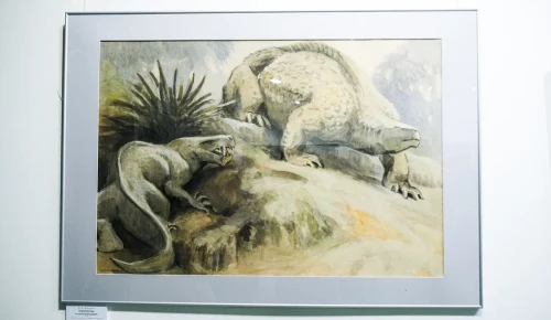 Дарвиновский музей организует авторскую экскурсию «Парейазавры Вятки» 