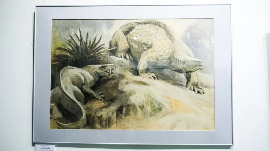 Дарвиновский музей организует авторскую экскурсию «Парейазавры Вятки» 