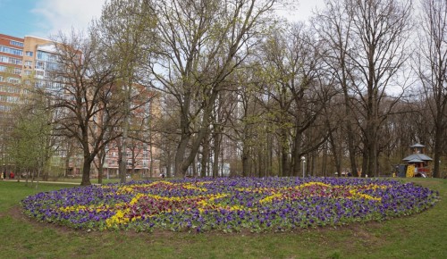 Посетители «Усадьбы Воронцово» смогут полюбоваться цветущими деревьями