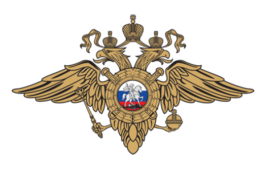 Полицейские ЮЗАО столицы привлекли к ответственности гражданина за дискредитацию Вооруженных сил РФ