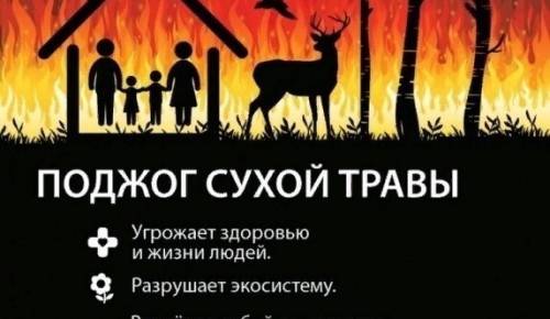 Статистика показывает, что ежегодно в России в результате травяных пожаров погибают несколько человек и сгорает огромное количество домов и дач