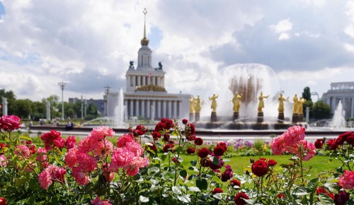 Москвичам в Международный день музеев рассказали об экспозициях под открытым небом