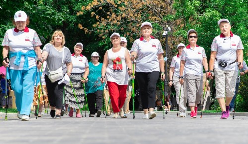 Участники «Московского долголетия» выйдут на массовый заход по скандинавской ходьбе в Воронцовском парке