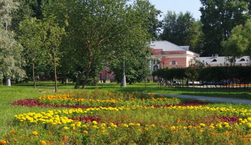 В Воронцовском парке распустились тюльпаны и сливы